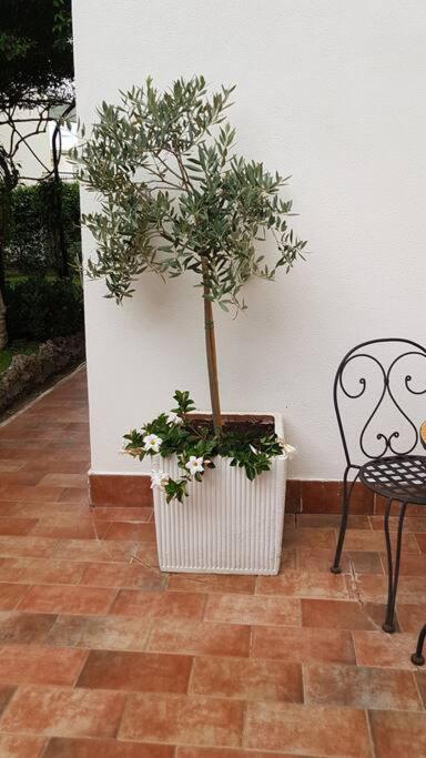 Giardino Mediterraneo ラッコ・アメーノ エクステリア 写真