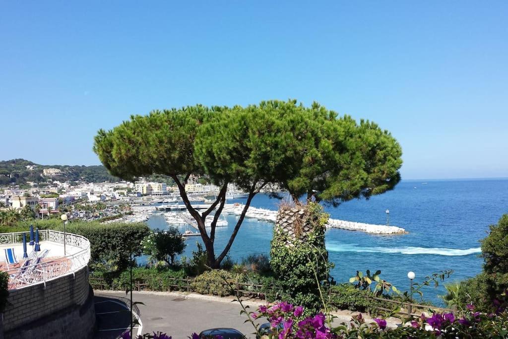 Giardino Mediterraneo ラッコ・アメーノ エクステリア 写真