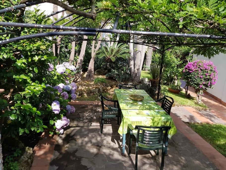Giardino Mediterraneo ラッコ・アメーノ エクステリア 写真