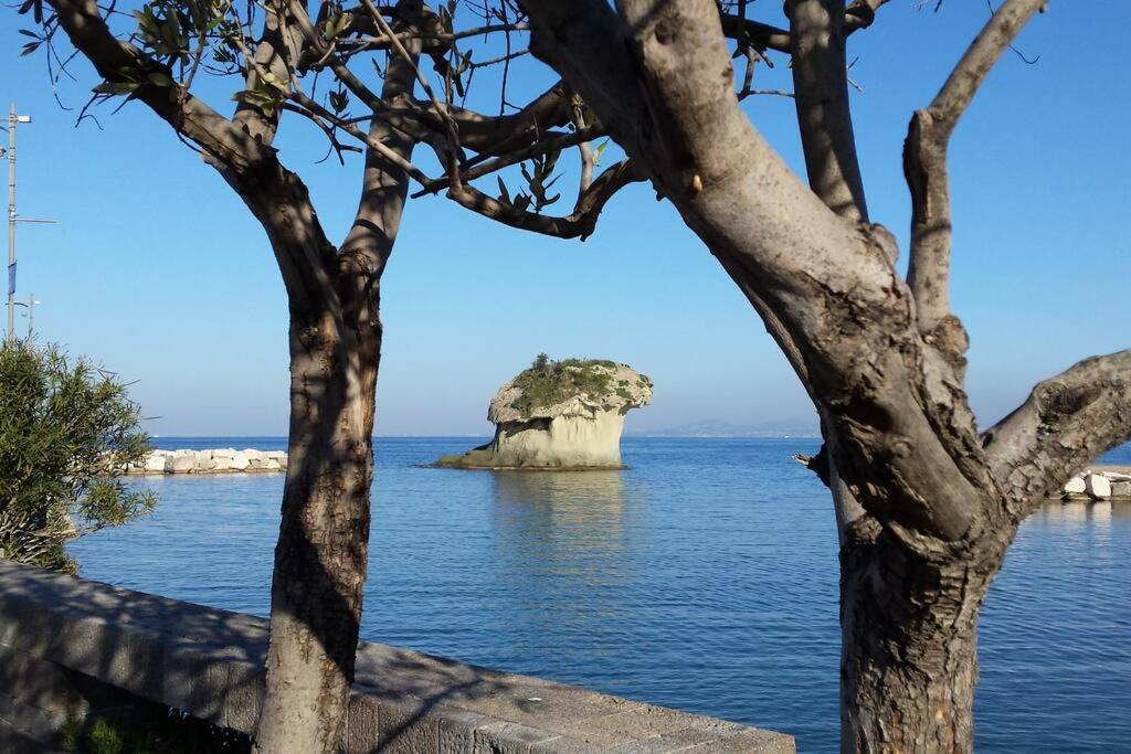 Giardino Mediterraneo ラッコ・アメーノ エクステリア 写真
