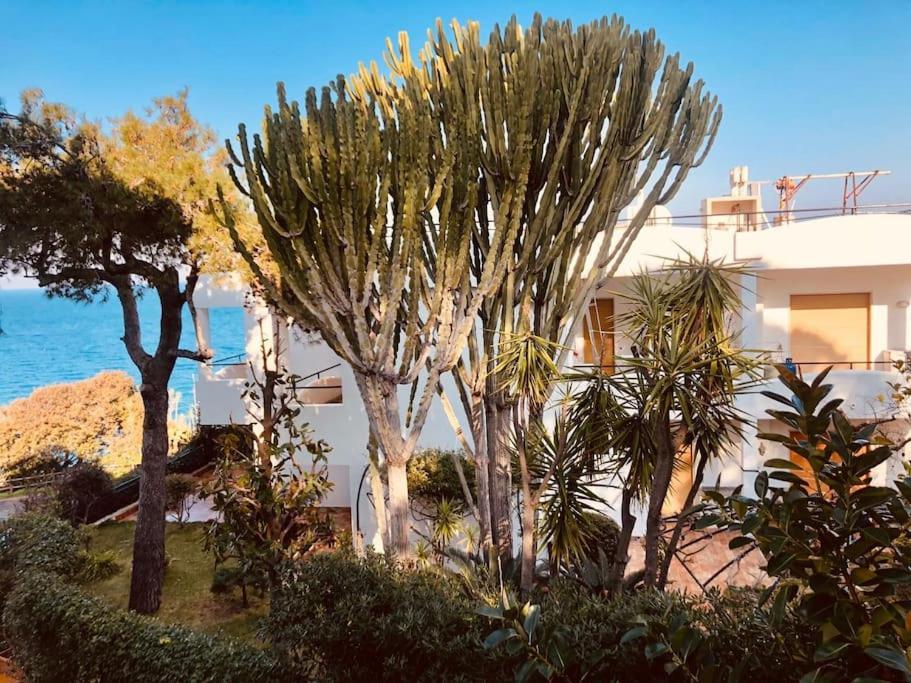 Giardino Mediterraneo ラッコ・アメーノ エクステリア 写真
