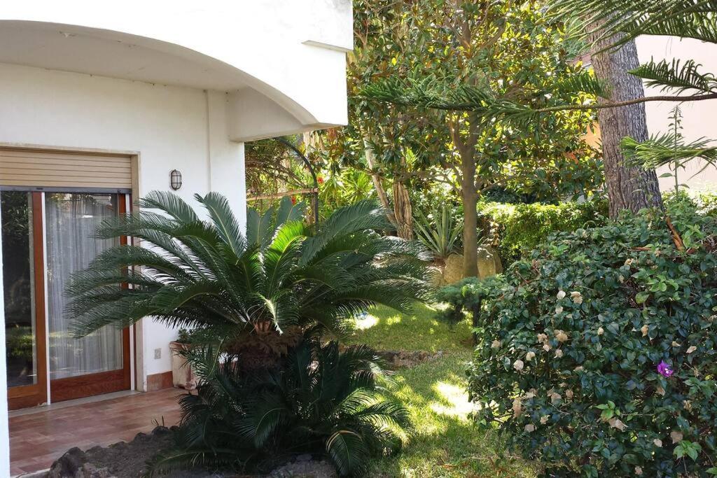 Giardino Mediterraneo ラッコ・アメーノ エクステリア 写真