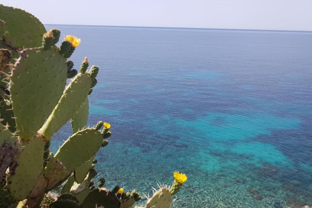 Giardino Mediterraneo ラッコ・アメーノ エクステリア 写真