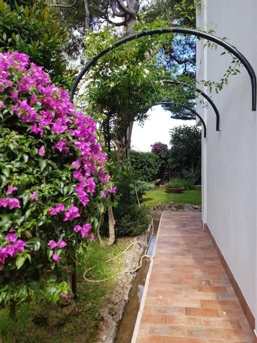 Giardino Mediterraneo ラッコ・アメーノ エクステリア 写真