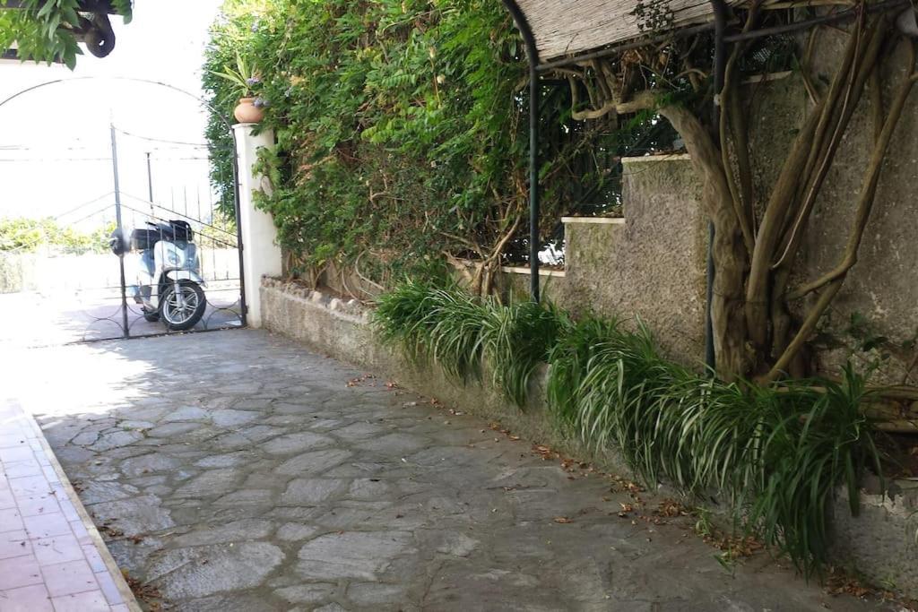 Giardino Mediterraneo ラッコ・アメーノ エクステリア 写真